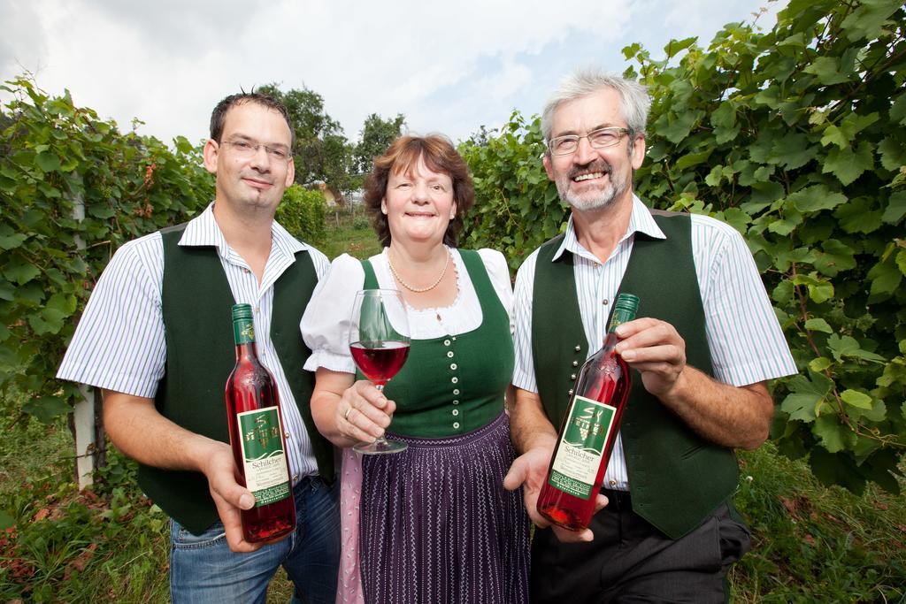 Weingut Seiner Vlg. Kraxner Villa Greisdorf Exterior photo